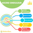Micro onduleur SOLAX 800W X1-Micro 2 en 1 – Double MPPT – Wi-Fi intégré