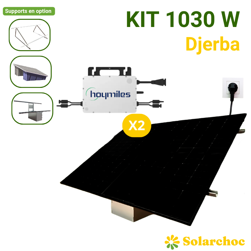 Kit solaire Plug&Play 1030W 2 panneaux DMEGC 515W + 1 micro onduleur 1000W HOYMILES Wifi intégré Autoconsommation Djerba
