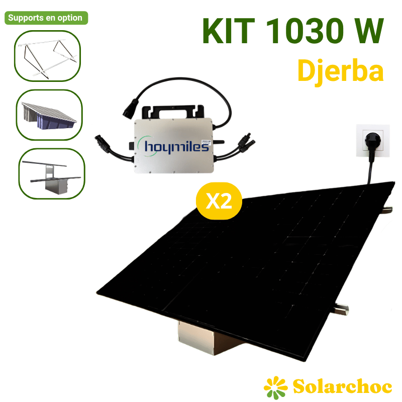 Kit solaire Plug&Play 1030W 2 panneaux DMEGC 515W + 1 micro onduleur 1000W HOYMILES Wifi intégré Autoconsommation Djerba