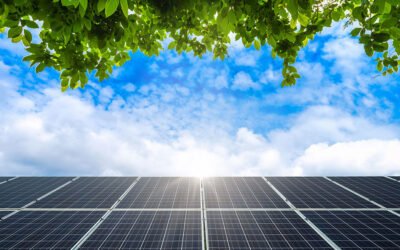 Installer des panneaux solaires au printemps : pourquoi c’est le moment idéal