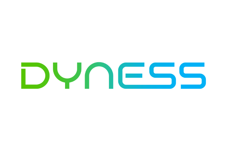 DYNESS